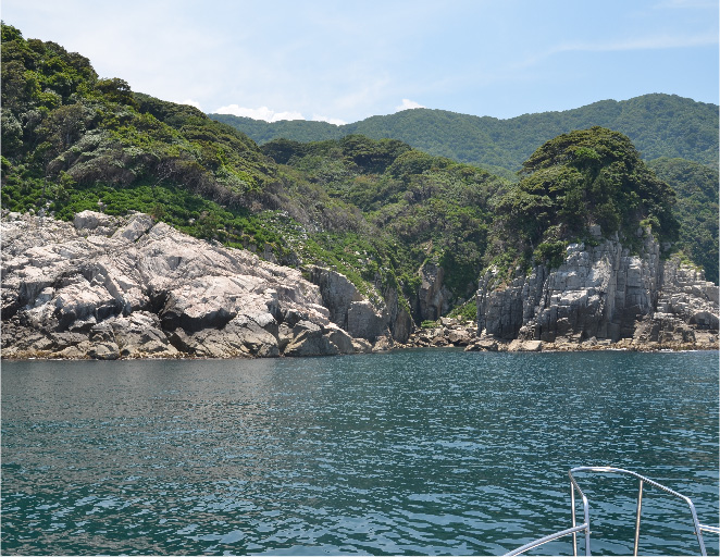 広々とした美しい沖合の海で海洋散骨を行います。美しい自然に還ることで想いを満たします。